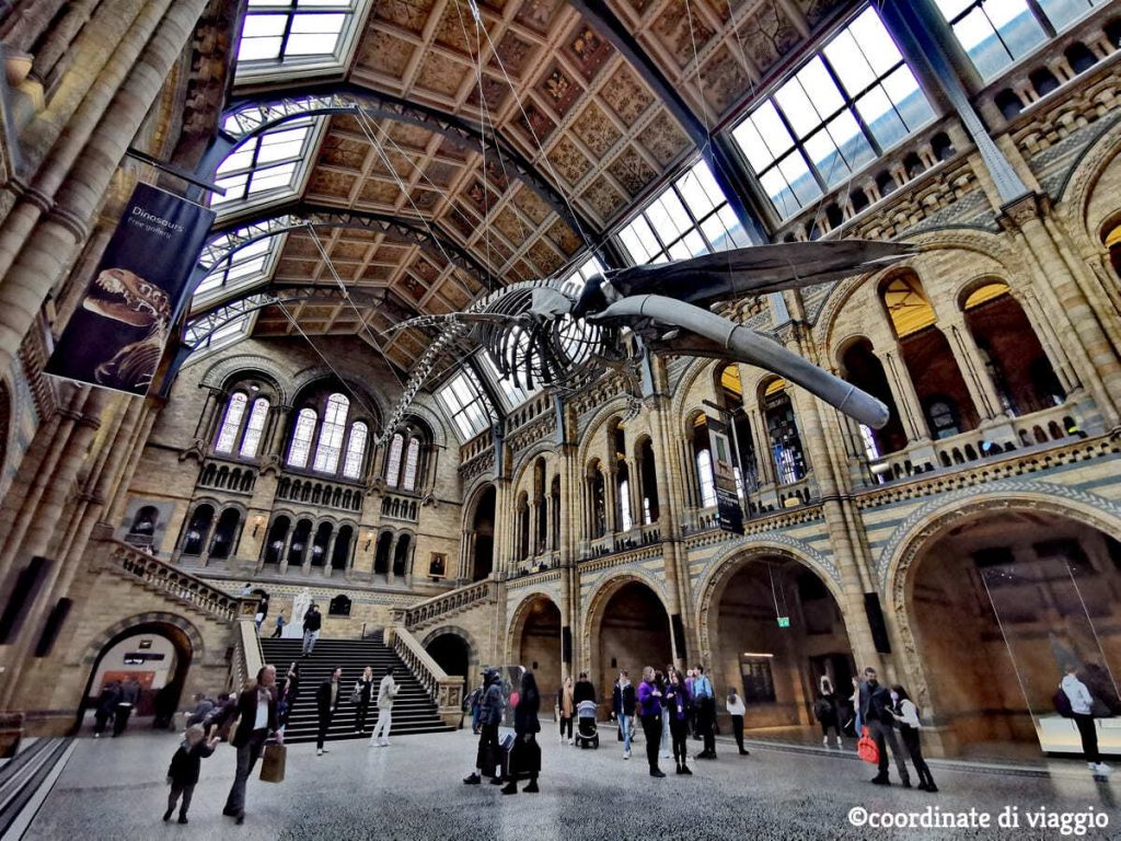 central-hall-natural-history-museum
