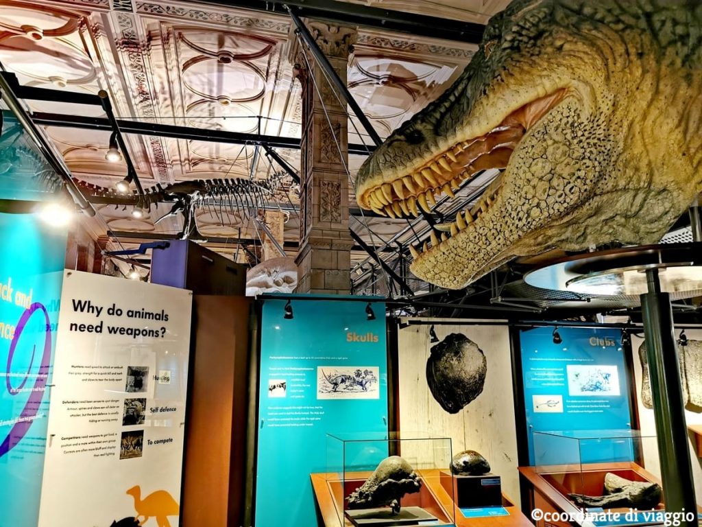 sezione-dinosauri-national-history-museum