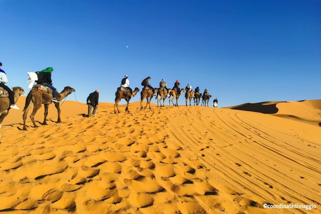 cammelli-deserto-merzouga